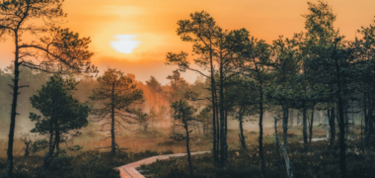 Ida-Virumaa turismi-, majutus- ja toitlustuspakkumised leiad www.idaviru.ee