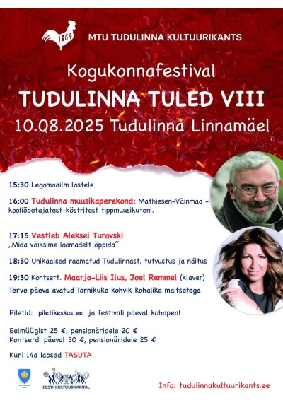Tudulinna tuled VIII