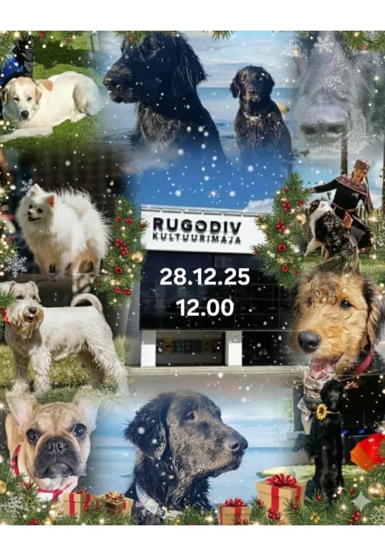 Perepühapäev & Uusaastaetendus KoerteKool BEST koertega Rugodivis