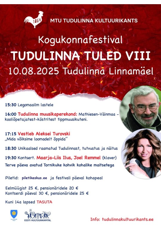 Tudulinna tuled VIII