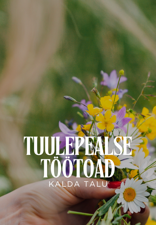 Tuulepealse töötoad - Einikese lilleseaded