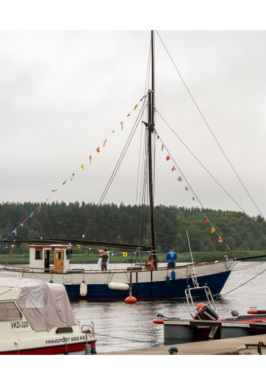 Kaluritepäev