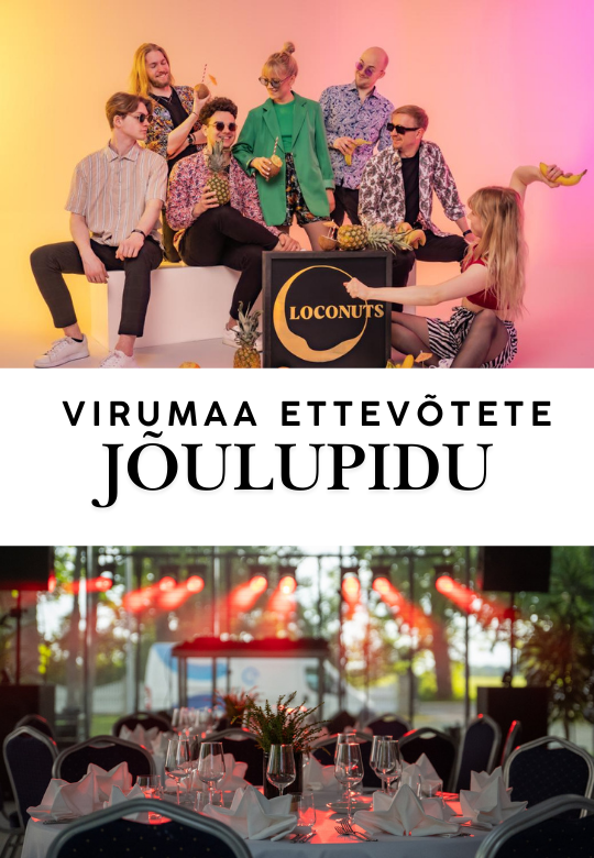 Virumaa Companies’ Christmas Party at Saka Manor